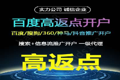 百度广告推广案例费用分析报告